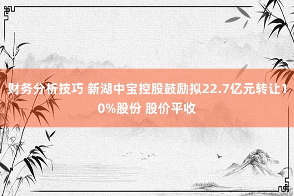 财务分析技巧 新湖中宝控股鼓励拟22.7亿元转让10%股份 股价平收