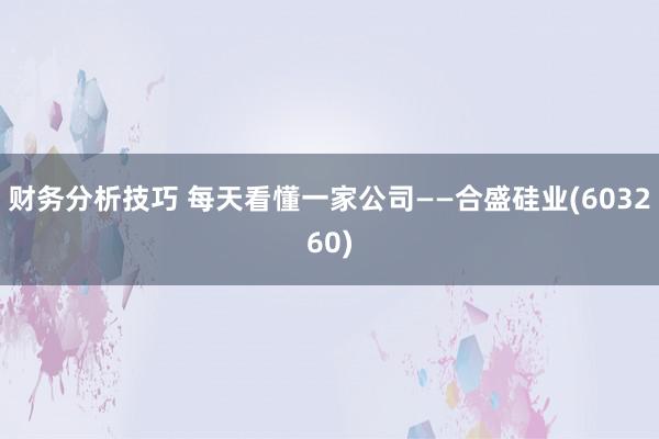 财务分析技巧 每天看懂一家公司——合盛硅业(603260)