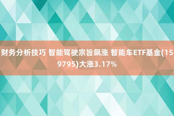 财务分析技巧 智能驾驶宗旨飙涨 智能车ETF基金(159795)大涨3.17%