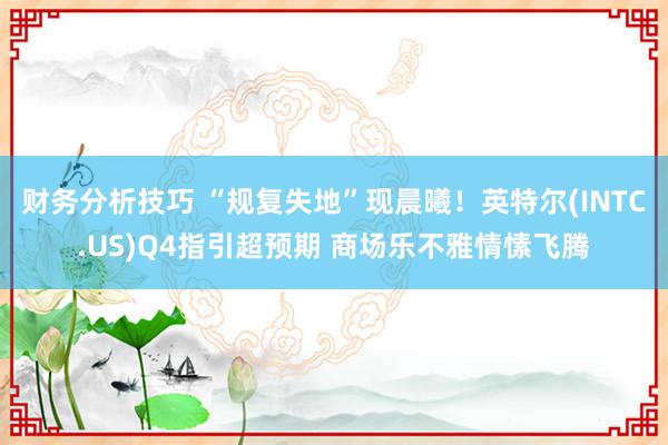 财务分析技巧 “规复失地”现晨曦！英特尔(INTC.US)Q4指引超预期 商场乐不雅情愫飞腾