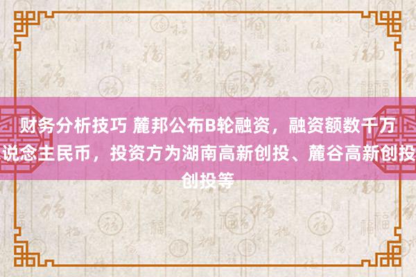 财务分析技巧 麓邦公布B轮融资，融资额数千万东说念主民币，投资方为湖南高新创投、麓谷高新创投等