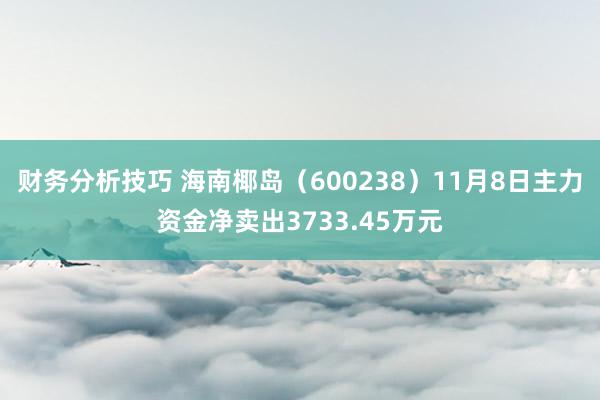 财务分析技巧 海南椰岛（600238）11月8日主力资金净卖出3733.45万元