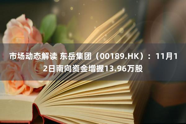 市场动态解读 东岳集团（00189.HK）：11月12日南向资金增握13.96万股