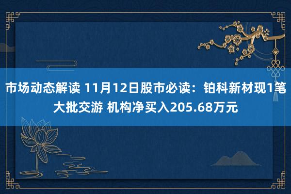 市场动态解读 11月12日股市必读：铂科新材现1笔大批交游 机构净买入205.68万元