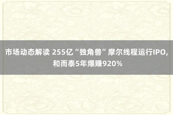 市场动态解读 255亿“独角兽”摩尔线程运行IPO, 和而泰5年爆赚920%