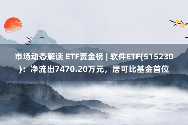 市场动态解读 ETF资金榜 | 软件ETF(515230)：净流出7470.20万元，居可比基金首位