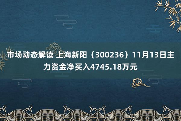 市场动态解读 上海新阳（300236）11月13日主力资金净买入4745.18万元