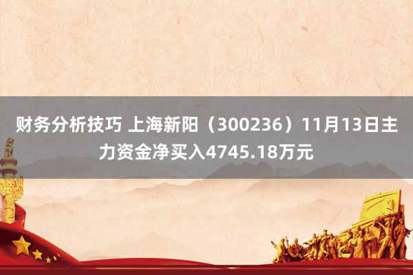 财务分析技巧 上海新阳（300236）11月13日主力资金净买入4745.18万元