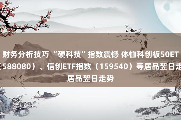 财务分析技巧 “硬科技”指数震憾 体恤科创板50ETF（588080）、信创ETF指数（159540）等居品翌日走势