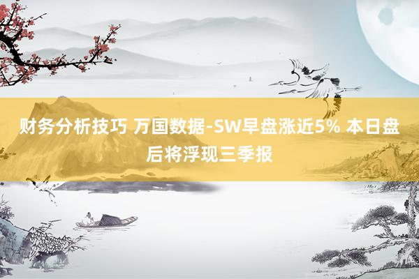 财务分析技巧 万国数据-SW早盘涨近5% 本日盘后将浮现三季报