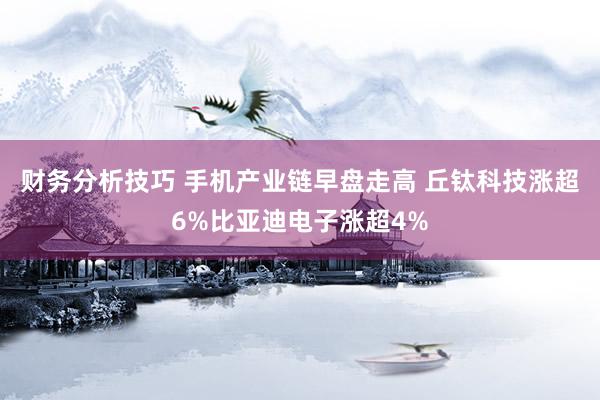 财务分析技巧 手机产业链早盘走高 丘钛科技涨超6%比亚迪电子涨超4%