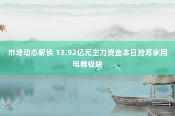 市场动态解读 13.92亿元主力资金本日抢筹家用电器板块