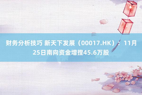 财务分析技巧 新天下发展（00017.HK）：11月25日南向资金增捏45.6万股