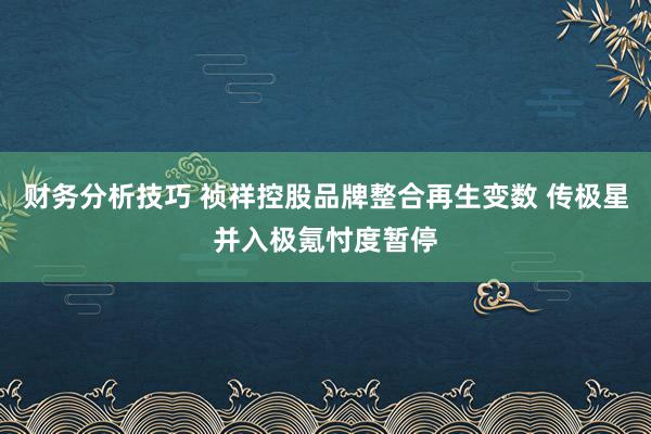 财务分析技巧 祯祥控股品牌整合再生变数 传极星并入极氪忖度暂停