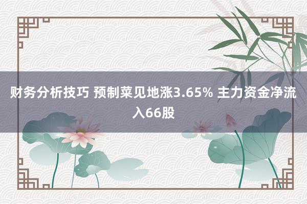 财务分析技巧 预制菜见地涨3.65% 主力资金净流入66股