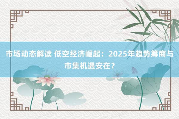 市场动态解读 低空经济崛起：2025年趋势筹商与市集机遇安在？