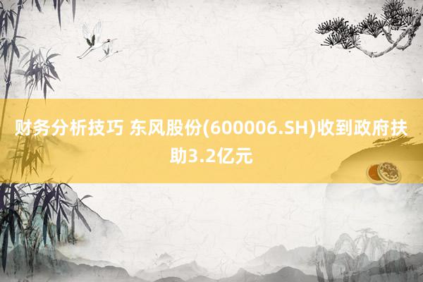 财务分析技巧 东风股份(600006.SH)收到政府扶助3.2亿元