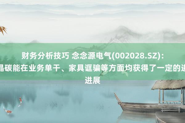 财务分析技巧 念念源电气(002028.SZ)：烯晶碳能在业务单干、家具诓骗等方面均获得了一定的进展