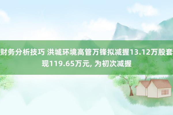 财务分析技巧 洪城环境高管万锋拟减握13.12万股套现119.65万元, 为初次减握