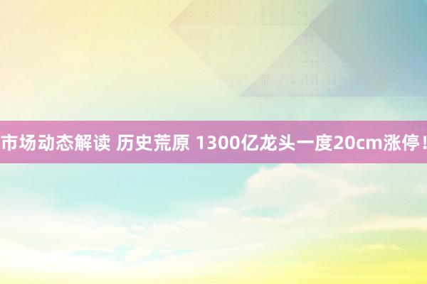 市场动态解读 历史荒原 1300亿龙头一度20cm涨停！