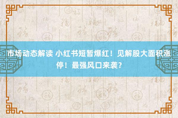 市场动态解读 小红书短暂爆红！见解股大面积涨停！最强风口来袭？