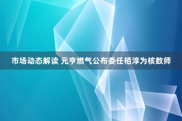 市场动态解读 元亨燃气公布委任栢淳为核数师