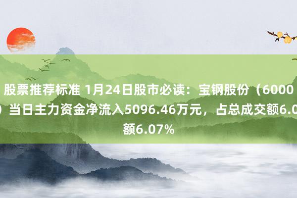 股票推荐标准 1月24日股市必读：宝钢股份（600019）当日主力资金净流入5096.46万元，占总成交额6.07%