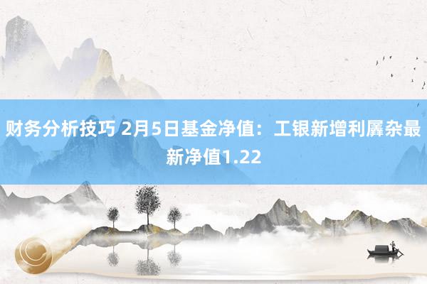 财务分析技巧 2月5日基金净值：工银新增利羼杂最新净值1.22