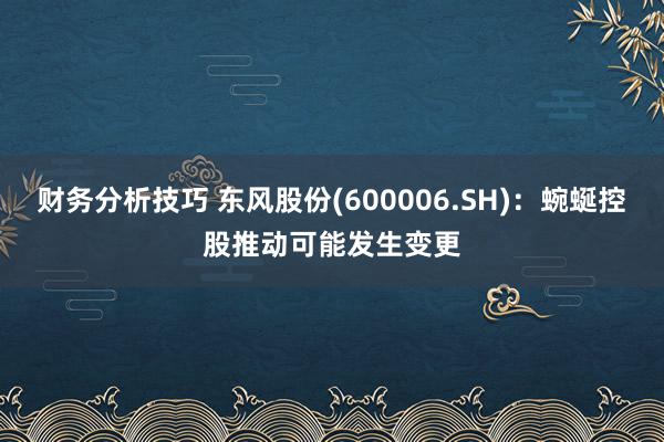 财务分析技巧 东风股份(600006.SH)：蜿蜒控股推动可能发生变更