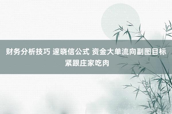 财务分析技巧 邃晓信公式 资金大单流向副图目标 紧跟庄家吃肉