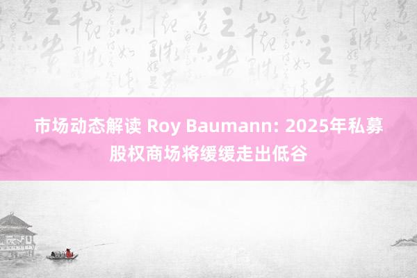 市场动态解读 Roy Baumann: 2025年私募股权商场将缓缓走出低谷