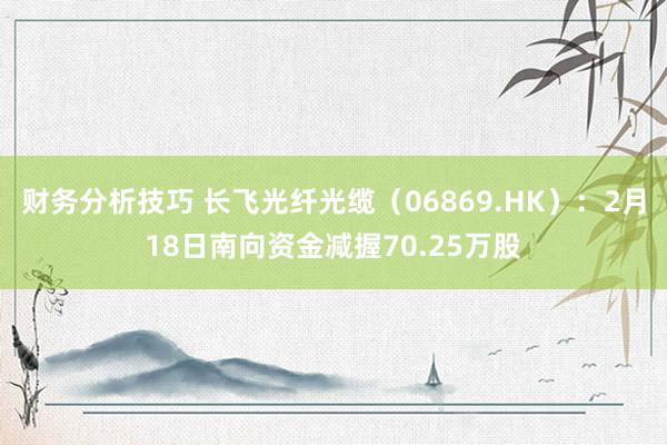 财务分析技巧 长飞光纤光缆（06869.HK）：2月18日南向资金减握70.25万股